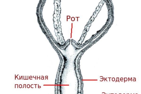 Ссылка кракен kr2web in