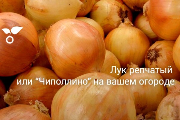 Кракен сайт в тор браузере