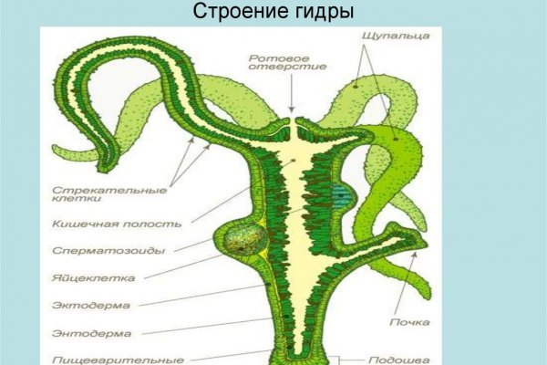 Ссылки тор браузер