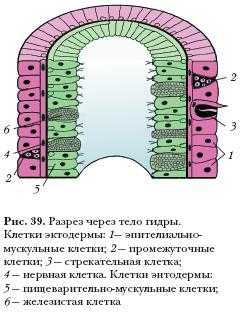 Кракен как зайти ссылка