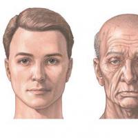 Comment le visage évolue avec l'âge - changements liés à l'âge et vieillissement du visage Jusqu'à quel âge le visage change-t-il chez l'homme