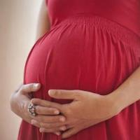 Cómo quedar embarazada fácil y rápidamente la primera vez: recomendaciones para hombres y mujeres