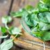 Spinach: a miracle vegetable for a nursing mother Spinach for a nursing mother